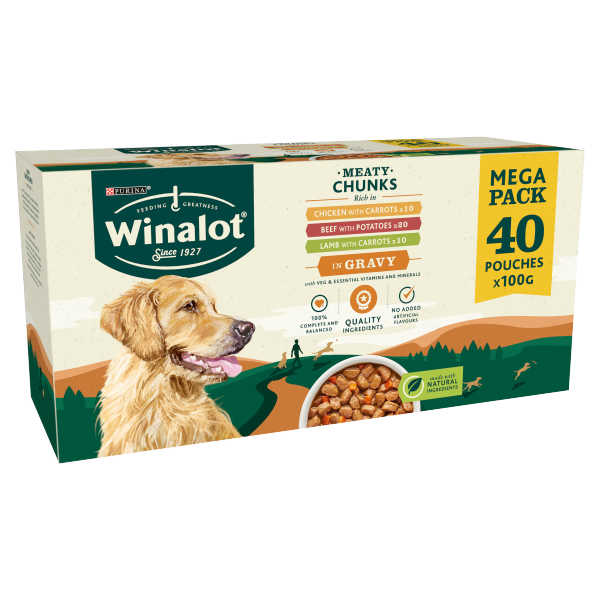 WINALOT Adult Dog Food Pouch Mixed in Gravy 40x100g