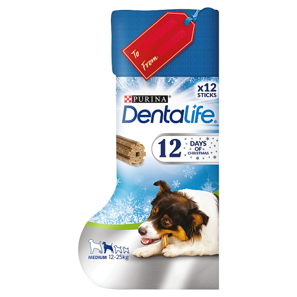 Dentalife medium 2024