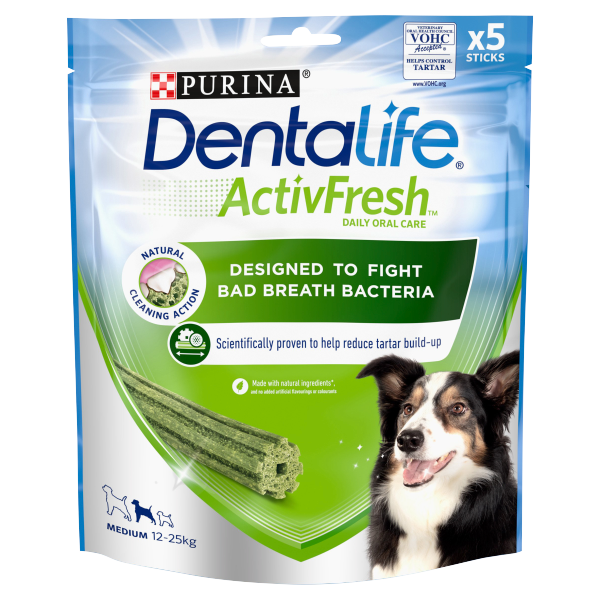 Dentalife medium outlet