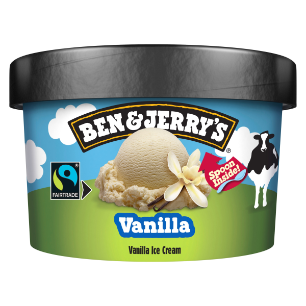 Ben & Jerry's Vanilla Ice Cream 100ml