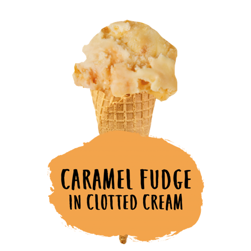 Marshfield Caramel Fudge in Clotted Cream Ice Cream 5ltr