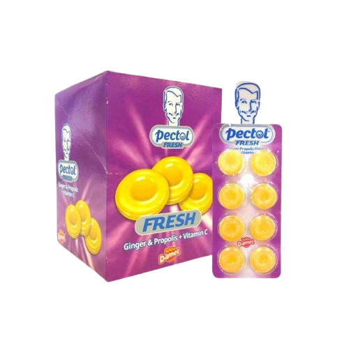 Damel Pectol Fresh Ginger & Propolis Flavour + Vitamin C 19.2g
