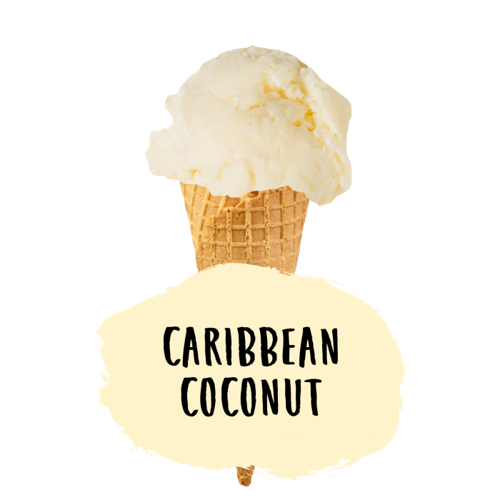 Marshfield Caribbean Coconut Ice Cream 5ltr