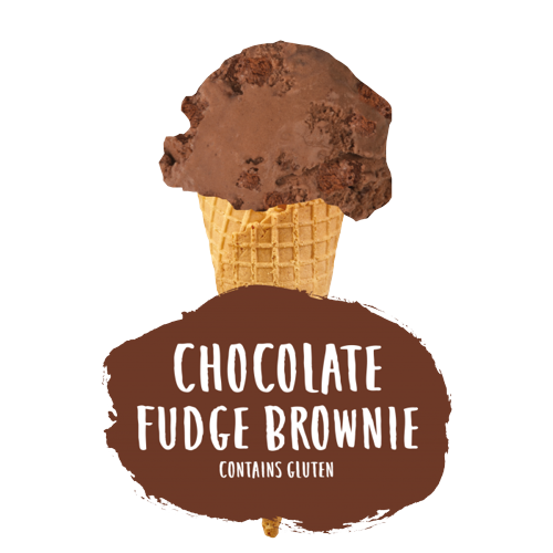 Marshfield Chocolate Fudge Brownie Ice Cream 5ltr