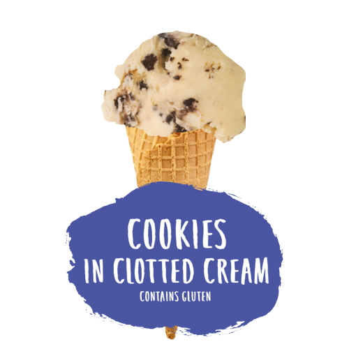 Marshfield Cookies & Cream Ice Cream 5ltr