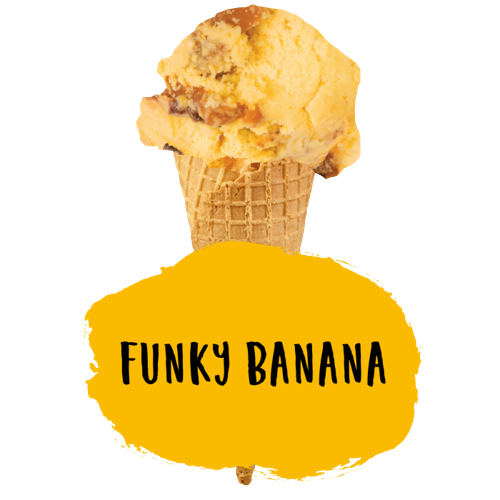 Marshfield Funky Banana Ice Cream 5ltr