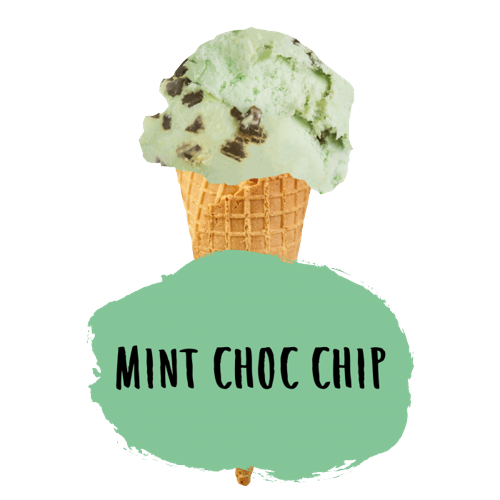 Marshfield Mint Choc Chip Ice Cream 5ltr