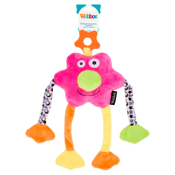 Webbox Multi-Sensory Teether