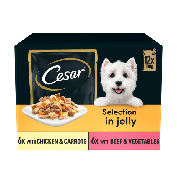Cesar Deliciously Fresh Dog Pouches Favourites In Jelly 100g